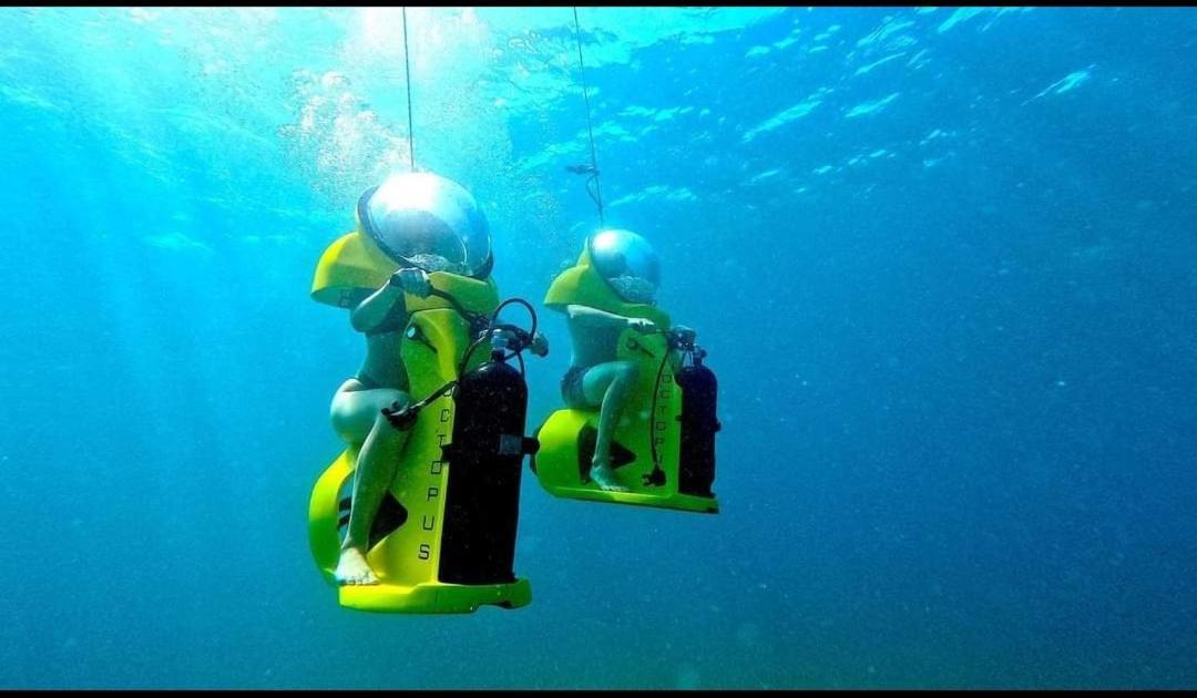 Ellmar Διαμέρισμα Μεντουλίν Εξωτερικό φωτογραφία